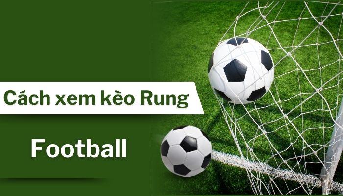 Kèo rung là gì - Tìm hiểu sâu về hình thức cược hấp dẫn trong thể thao